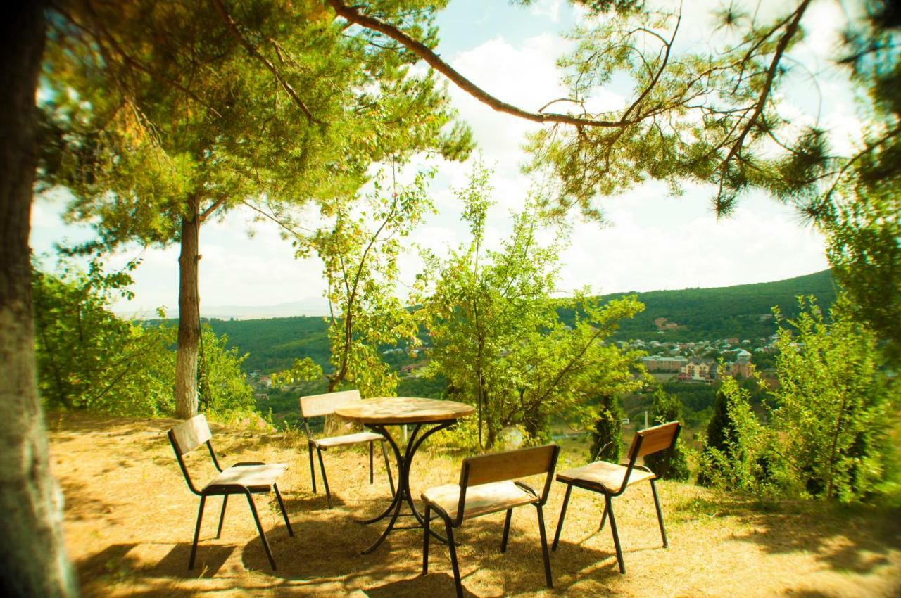 Vosku Ashxarh Hotel Tsaghkadzor Exteriör bild