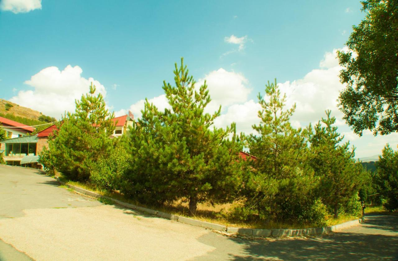 Vosku Ashxarh Hotel Tsaghkadzor Exteriör bild